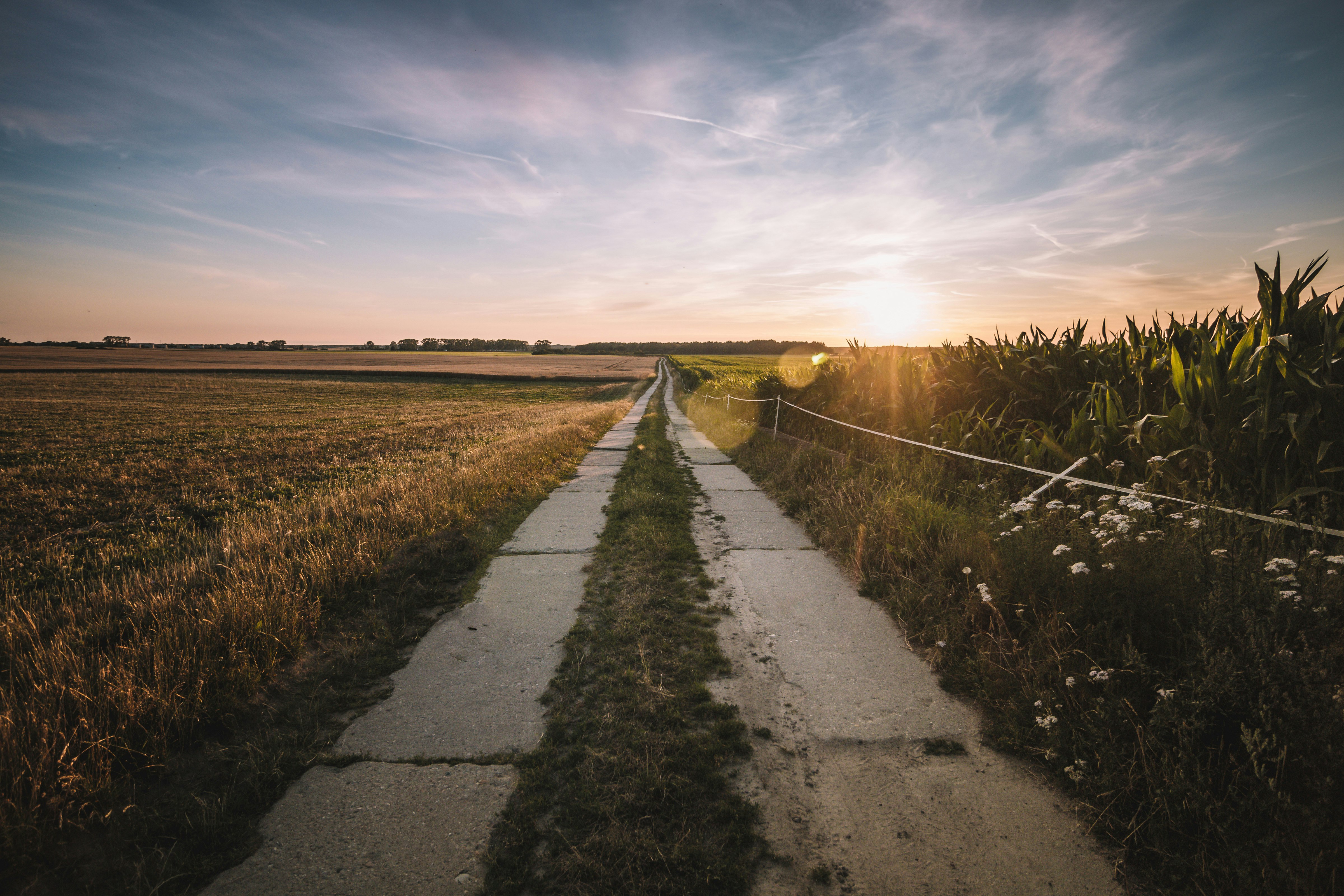 road between brown fields